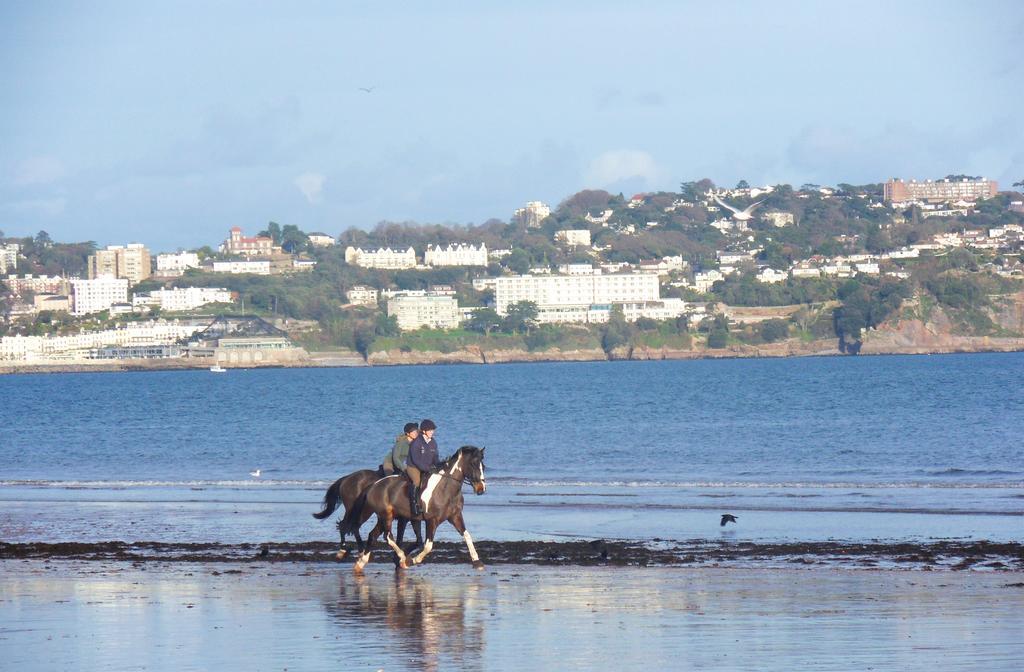 Rosemead Guest House Paignton Eksteriør bilde
